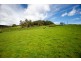 163 Turkey Farm Road, Glengarry TAS 7275