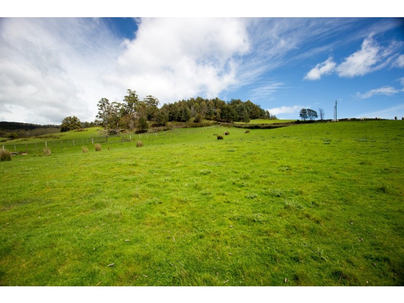 163 Turkey Farm Road, Glengarry TAS 7275