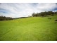 163 Turkey Farm Road, Glengarry TAS 7275