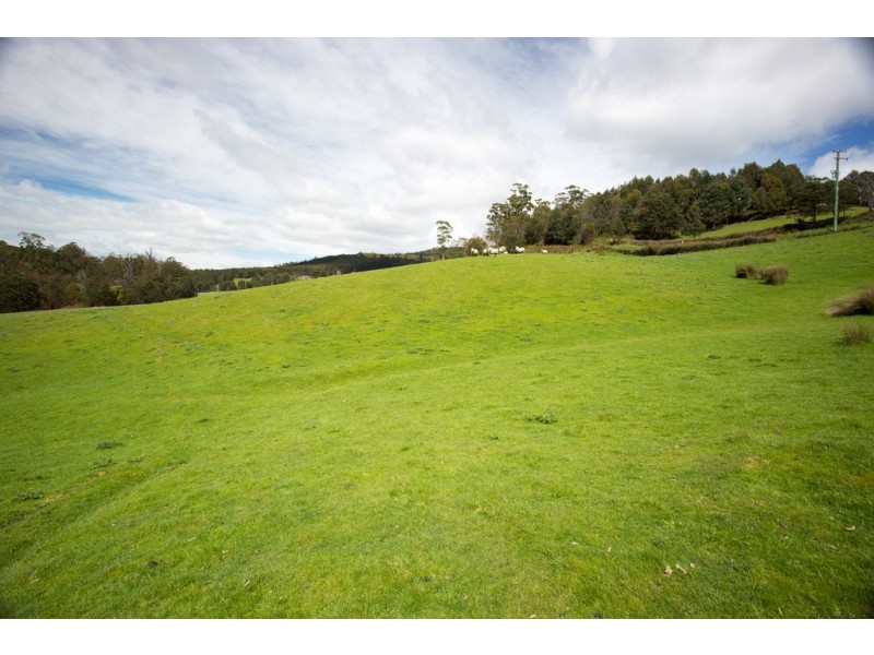 163 Turkey Farm Road, Glengarry TAS 7275