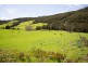 163 Turkey Farm Road, Glengarry TAS 7275