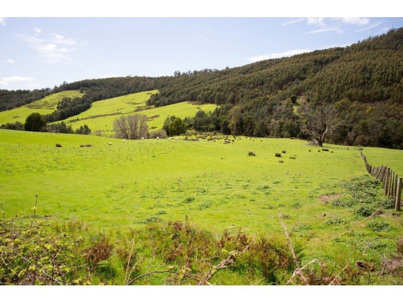 163 Turkey Farm Road, Glengarry TAS 7275