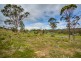 1199 Windermere Road, Swan Bay TAS 7252
