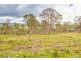 1199 Windermere Road, Swan Bay TAS 7252