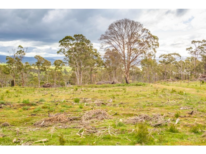 1199 Windermere Road, Swan Bay TAS 7252