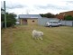 4 Nairana Street, Gravelly Beach TAS 7276