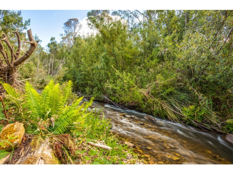 40106 Tasman Highway, Nunamara TAS 7259