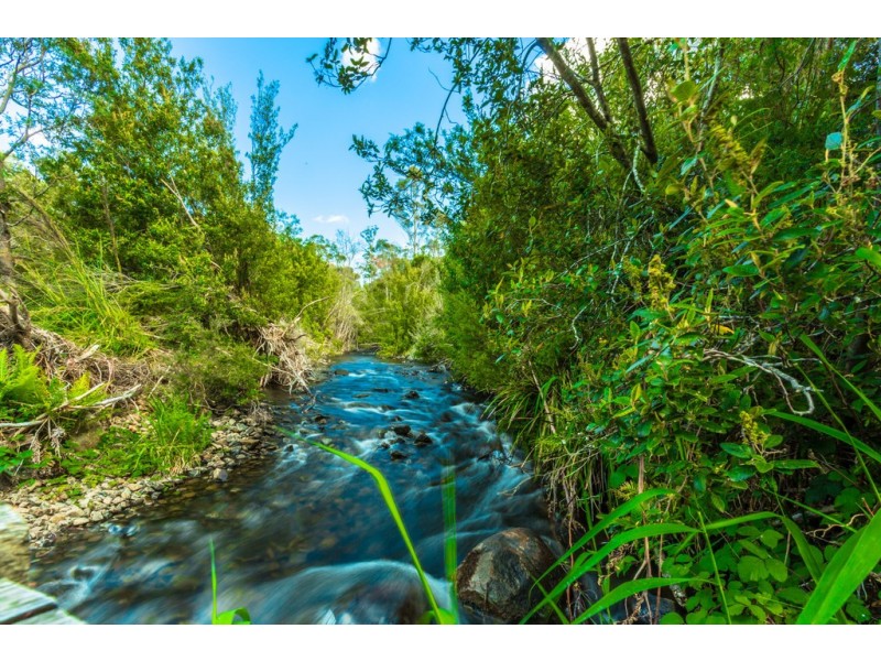 40106 Tasman Highway, Nunamara TAS 7259