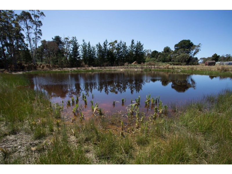 50 Gibbs Street, Beaconsfield TAS 7270