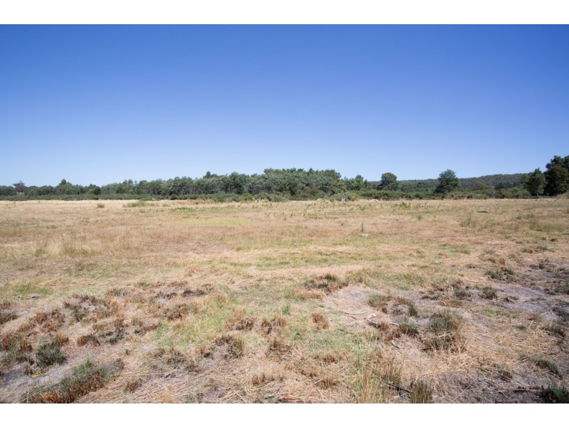 50 Gibbs Street, Beaconsfield TAS 7270