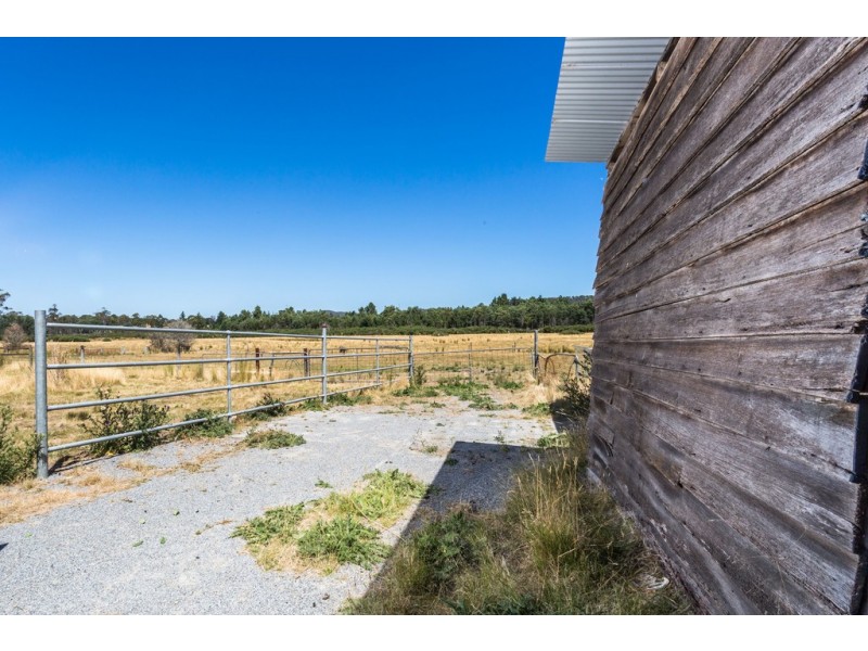 50 Gibbs Street, Beaconsfield TAS 7270