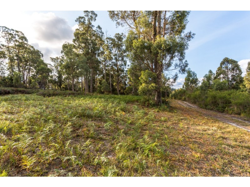 Lot 1 Possum Road, Beaconsfield TAS 7270