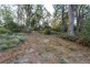 Lot 1 Possum Road, Beaconsfield TAS 7270