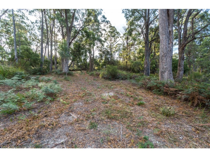 Lot 1 Possum Road, Beaconsfield TAS 7270