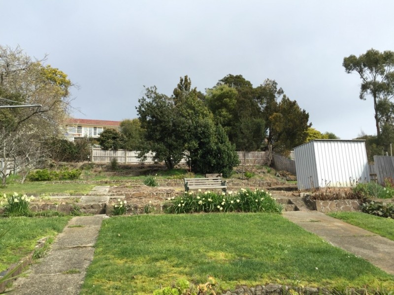 3 Pitt Avenue, Trevallyn TAS 7250