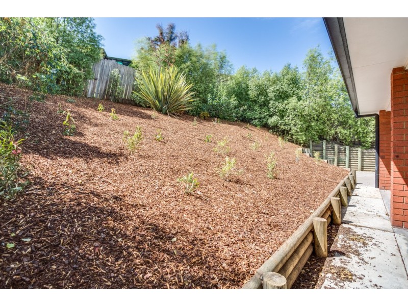 19 Bill Grove, Mowbray TAS 7248