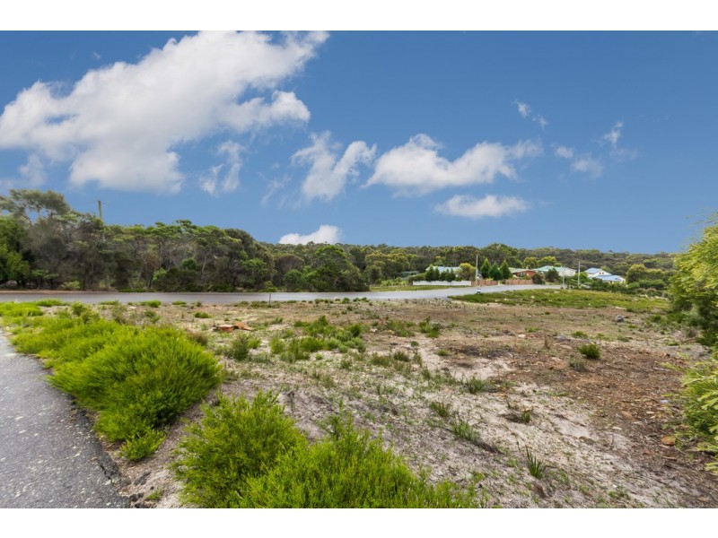 24 Ocean View Drive, Greens Beach TAS 7270