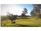 6 Eiger Court, Grindelwald TAS 7277