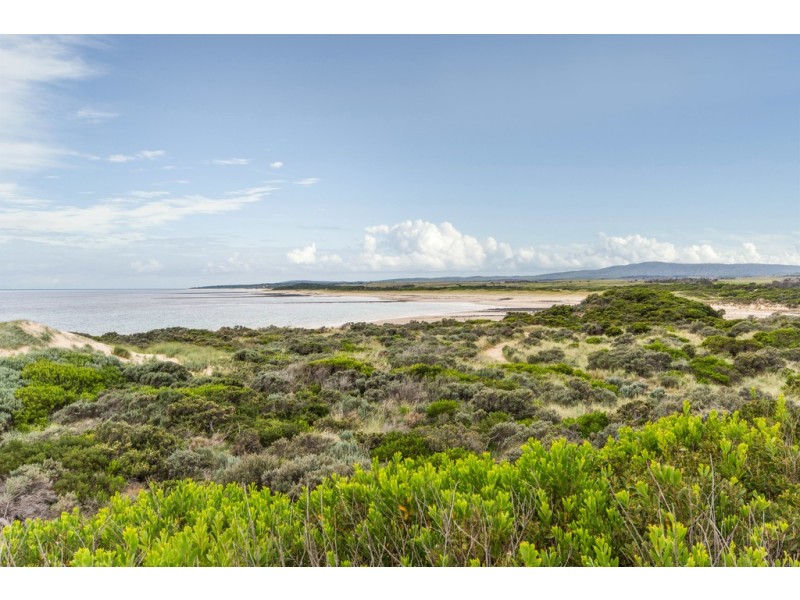 4 Davis Street, Beechford TAS 7252