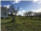 294 Bracknell Road, Bracknell TAS 7302