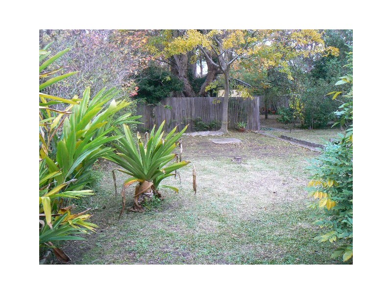 45 Earl St, Roseville NSW 2069