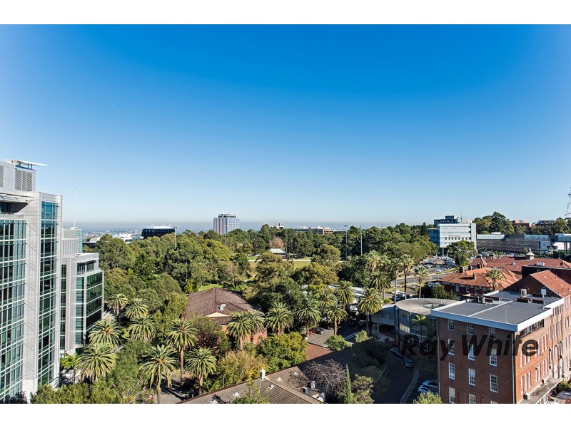 1009/3 Herbert Street, St Leonards NSW 2065