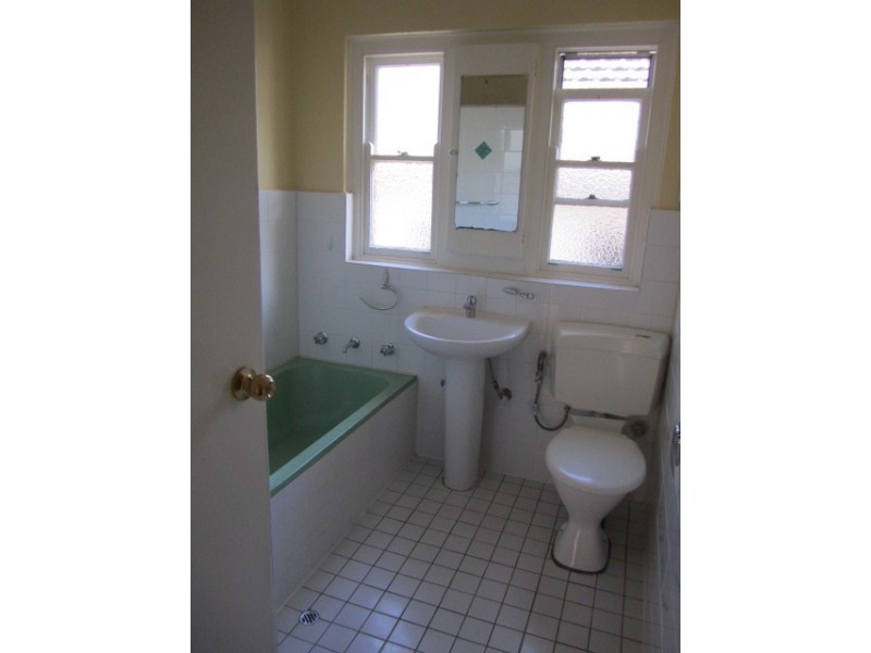 41 Douglas Avenue, Chatswood NSW 2067