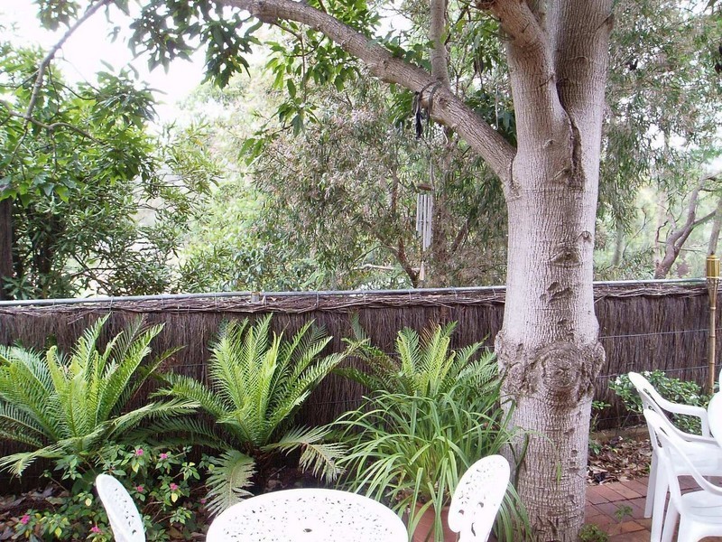 43A Hinkler Cres, Lane Cove NSW 2066