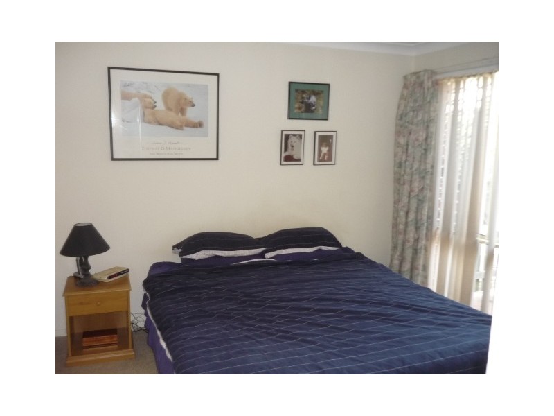 159A Archer Street, Chatswood NSW 2067