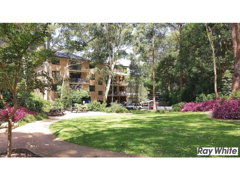 1/2 Peckham Avenue, Chatswood NSW 2067