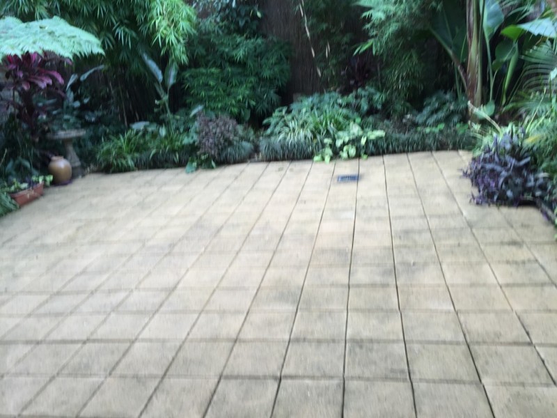 12/3 Benton Avenue, Artarmon NSW 2064