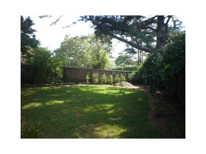 25 Macartney Avenue, Chatswood NSW 2067