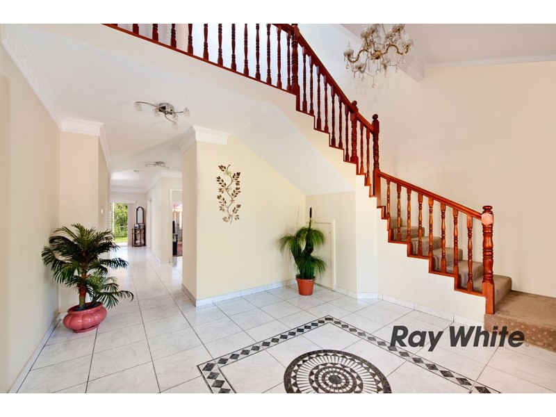 17 Wyalong Street, Willoughby NSW 2068