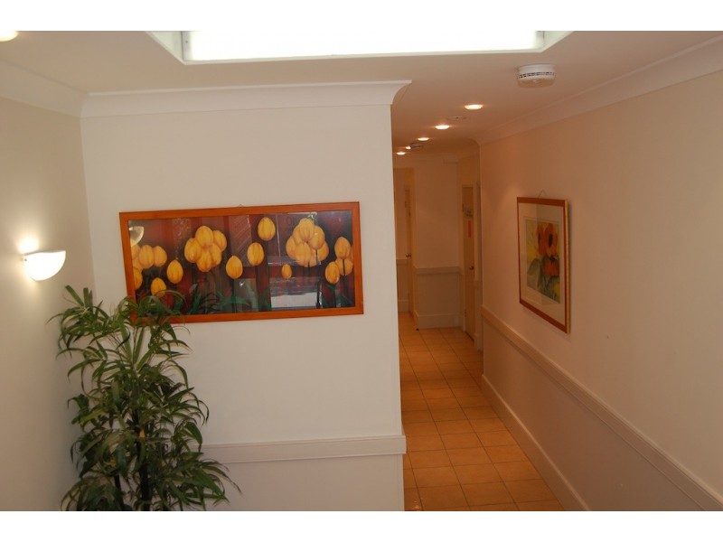 3/7 Freeman Road, Chatswood NSW 2067