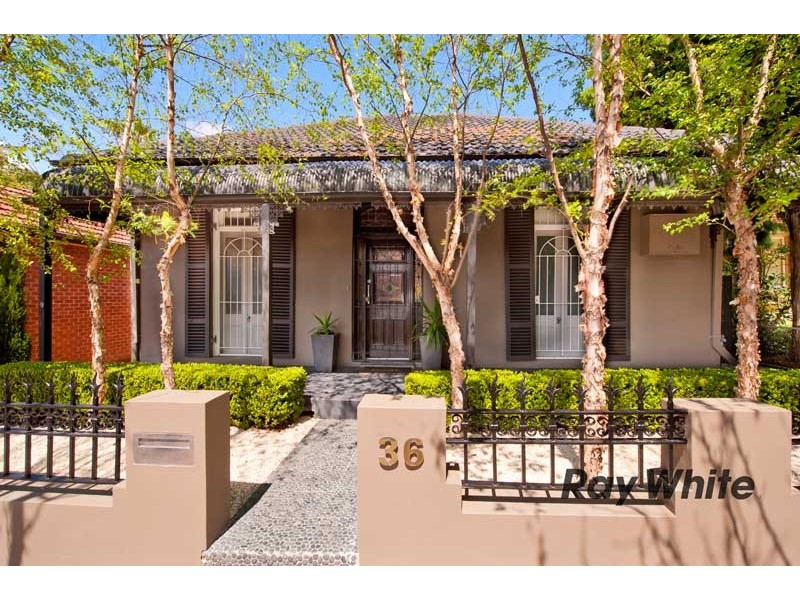 36 Forsyth Street, Willoughby NSW 2068