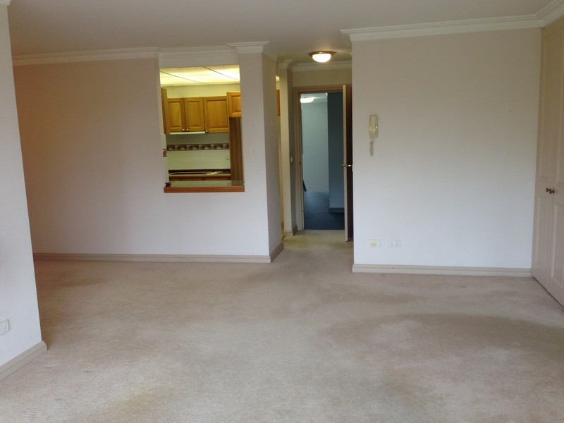 244 Mowbray Road, Chatswood NSW 2067