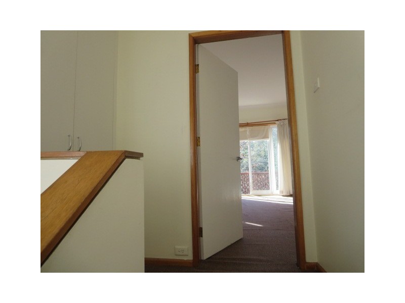 17a Millwood Avenue, Chatswood NSW 2067