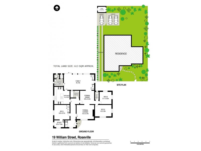 19 William Street East, Roseville NSW 2069 Floorplan