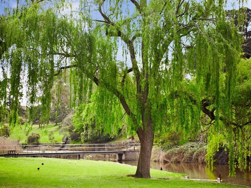 13 Champ Street, Coburg VIC 3058