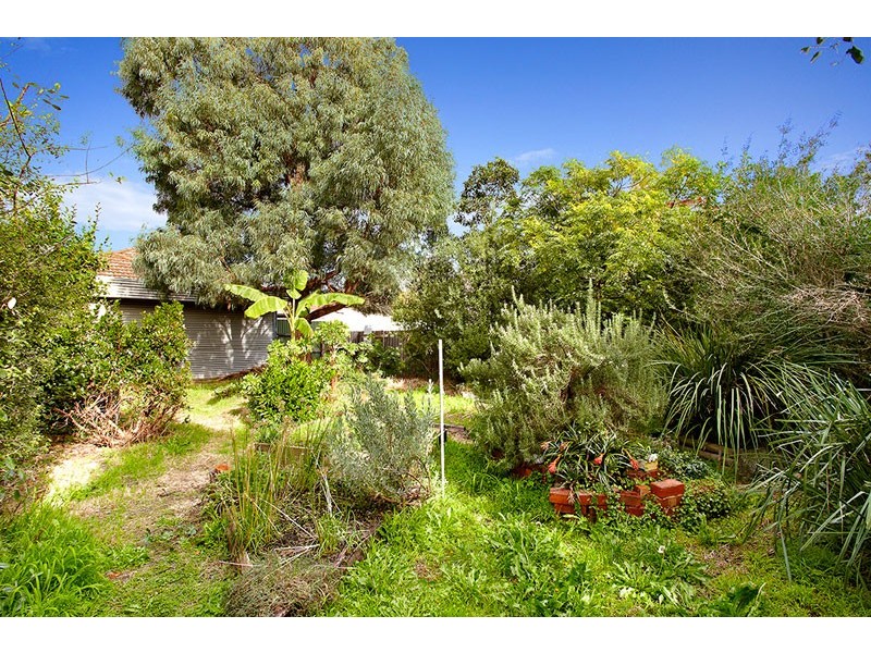 153 Ballantyne Street, Thornbury VIC 3071