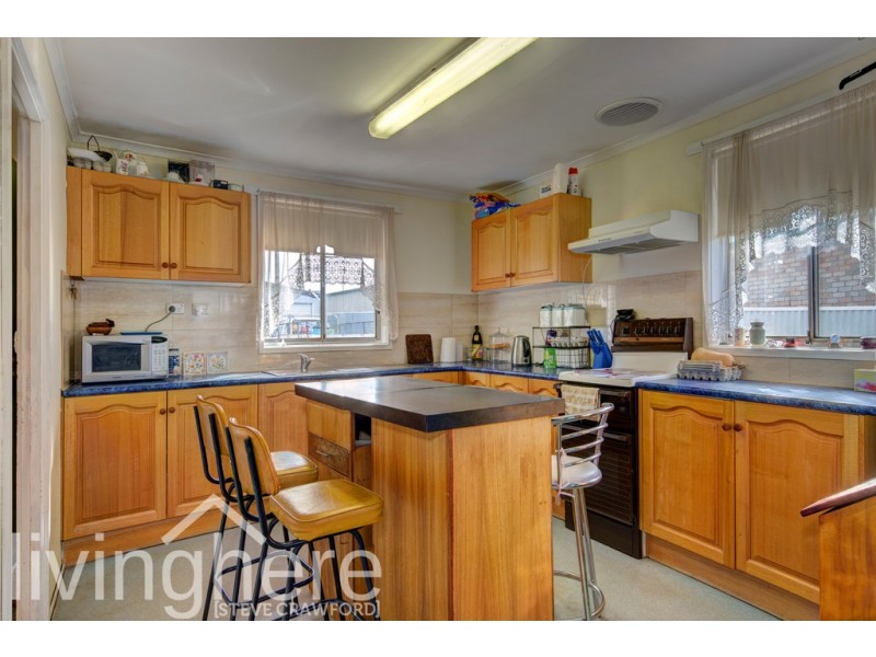 5 Mcgilp Street, Scottsdale TAS 7260