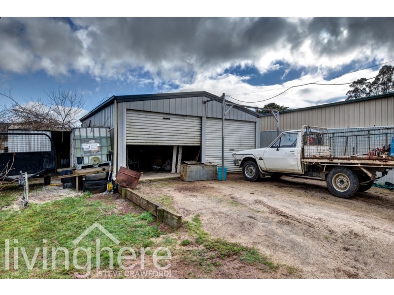 5 Mcgilp Street, Scottsdale TAS 7260
