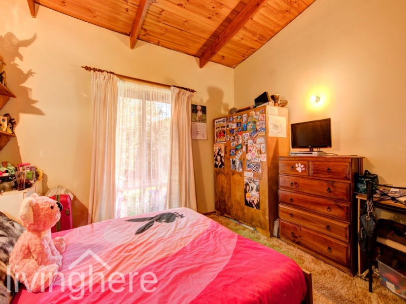 26 Archer Street, Cressy TAS 7302