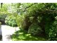 39 Snow Street, Newnham TAS 7248