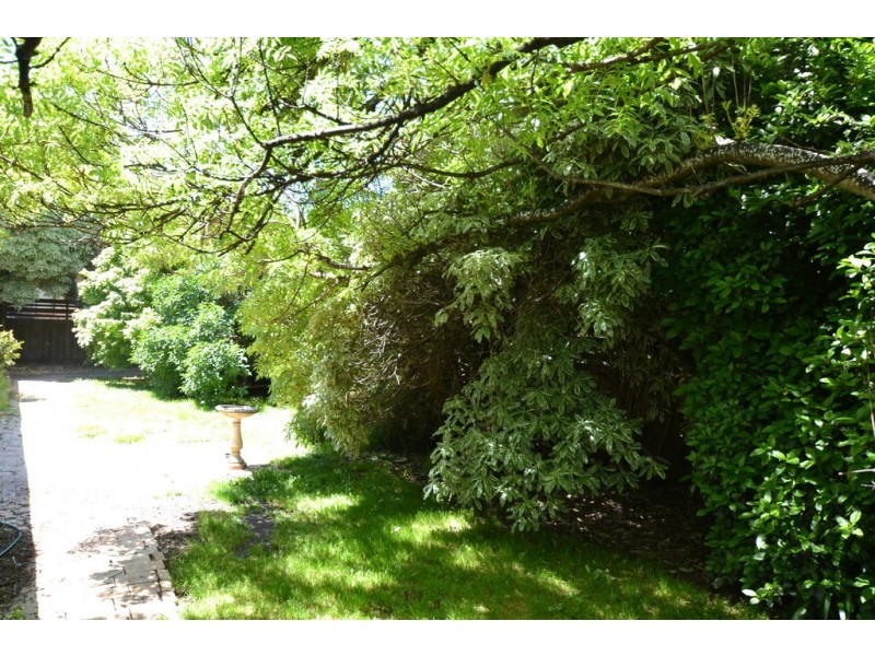 39 Snow Street, Newnham TAS 7248