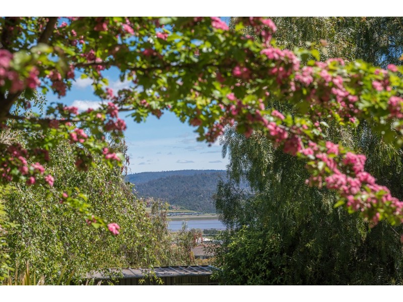 74 Viewbank Road, Newnham TAS 7248