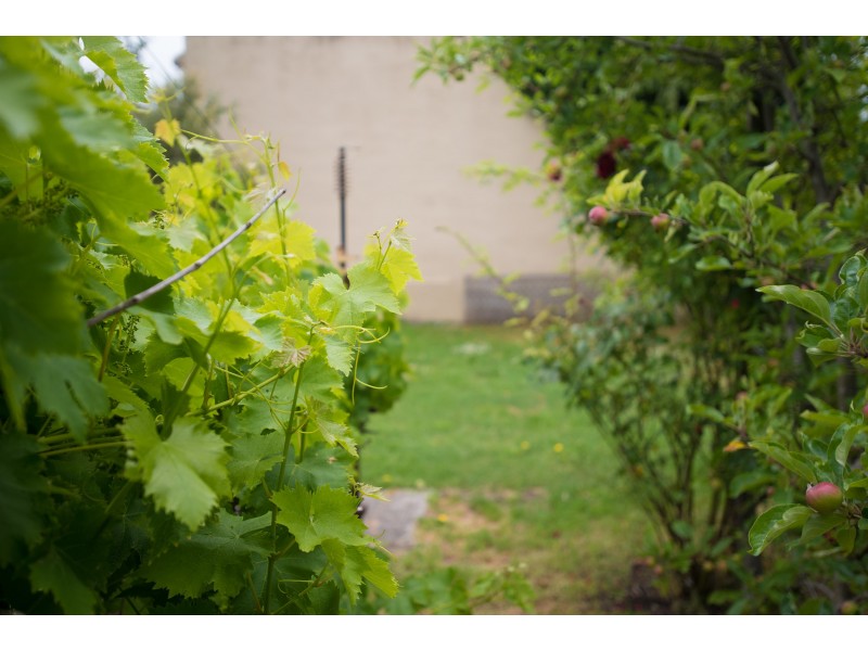 16 Oswald Street, Invermay TAS 7248