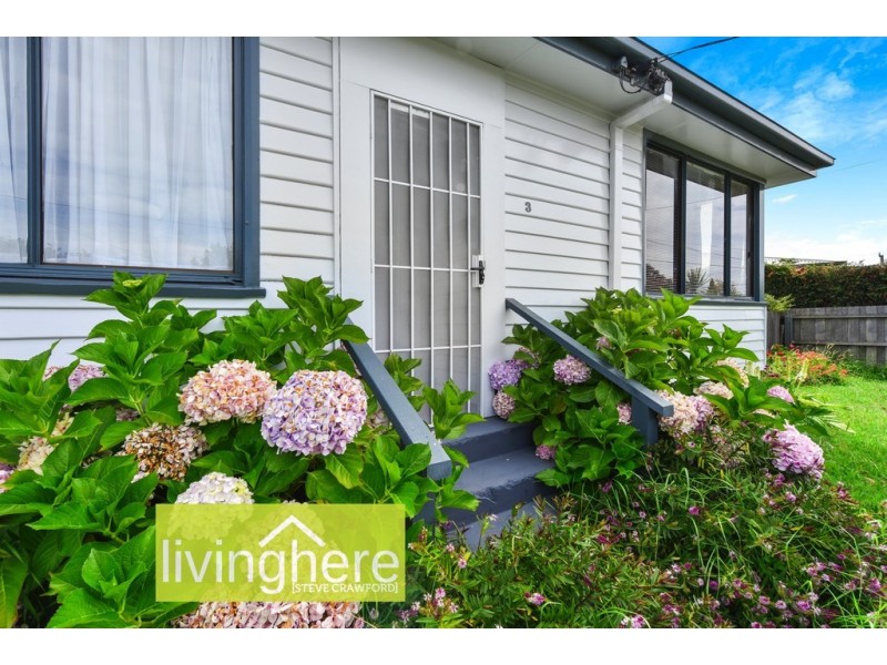 3 Andrew Street, George Town TAS 7253