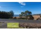187 Rosevears Drive, Rosevears TAS 7277