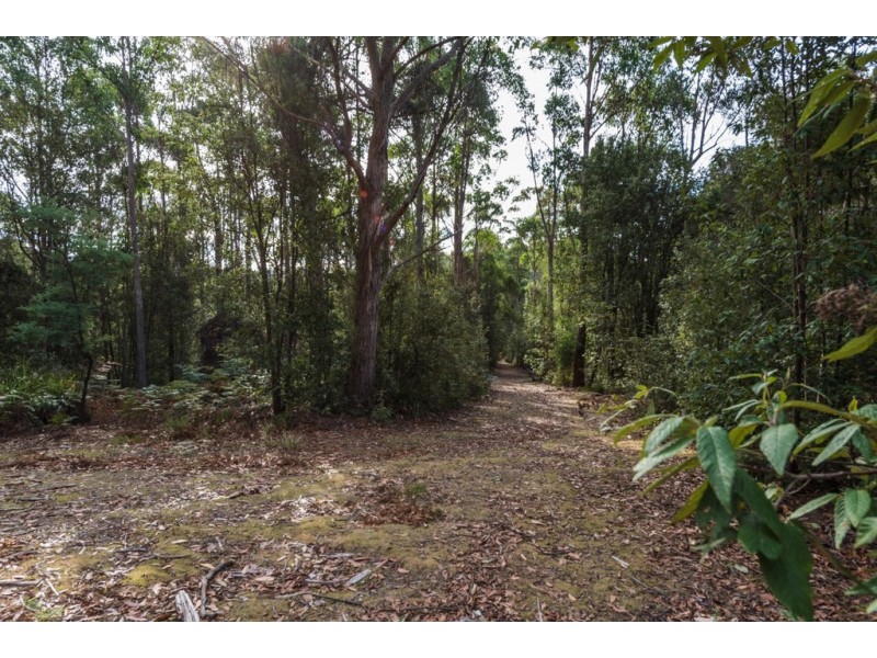 261 Colgraves Road, Pipers River TAS 7252